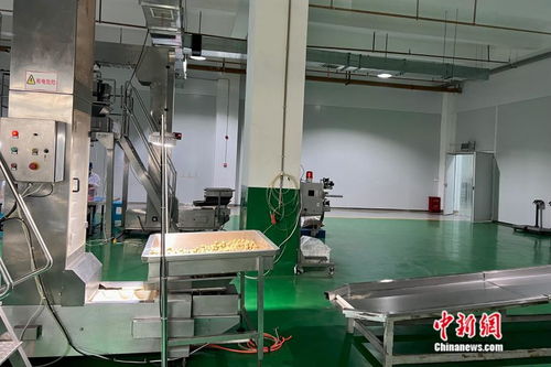 万千气象看云南丨从一颗核桃开始，在西南边陲探索“一县一业”热能产品研发